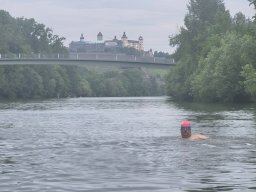 Mainschwimmen Juni 2026